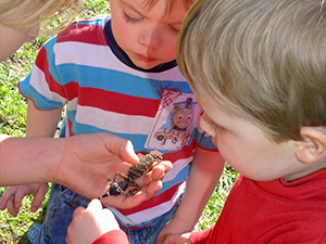 Summer play playgroup 2