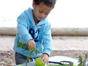 Scissor Skill Practice: Cutting Playdough - Playgroup WA