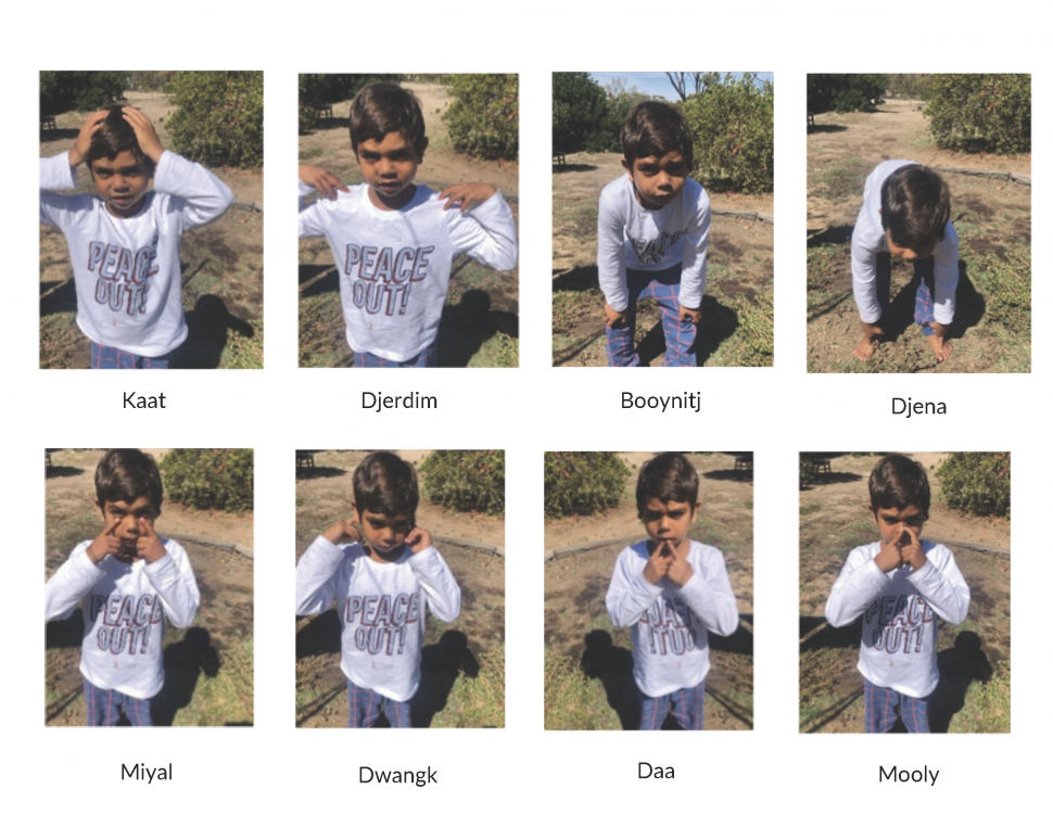 Learn Head, Shoulders, Knees and Toes in Noongar Playgroup WA
