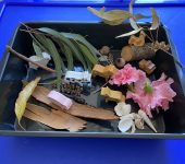 Nature Play Tray